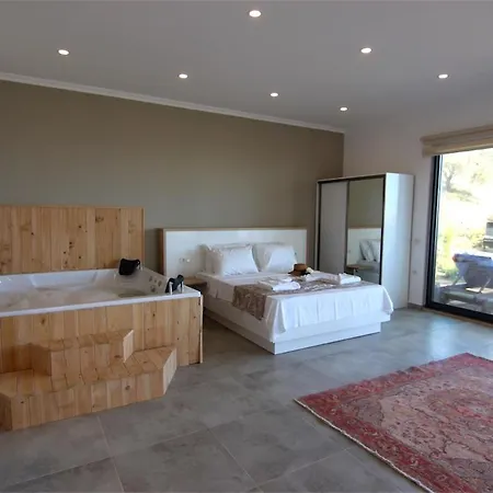 North Star